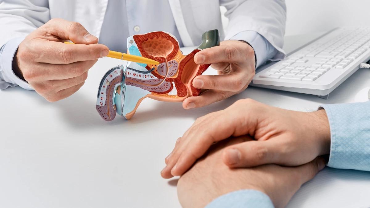 Urologia