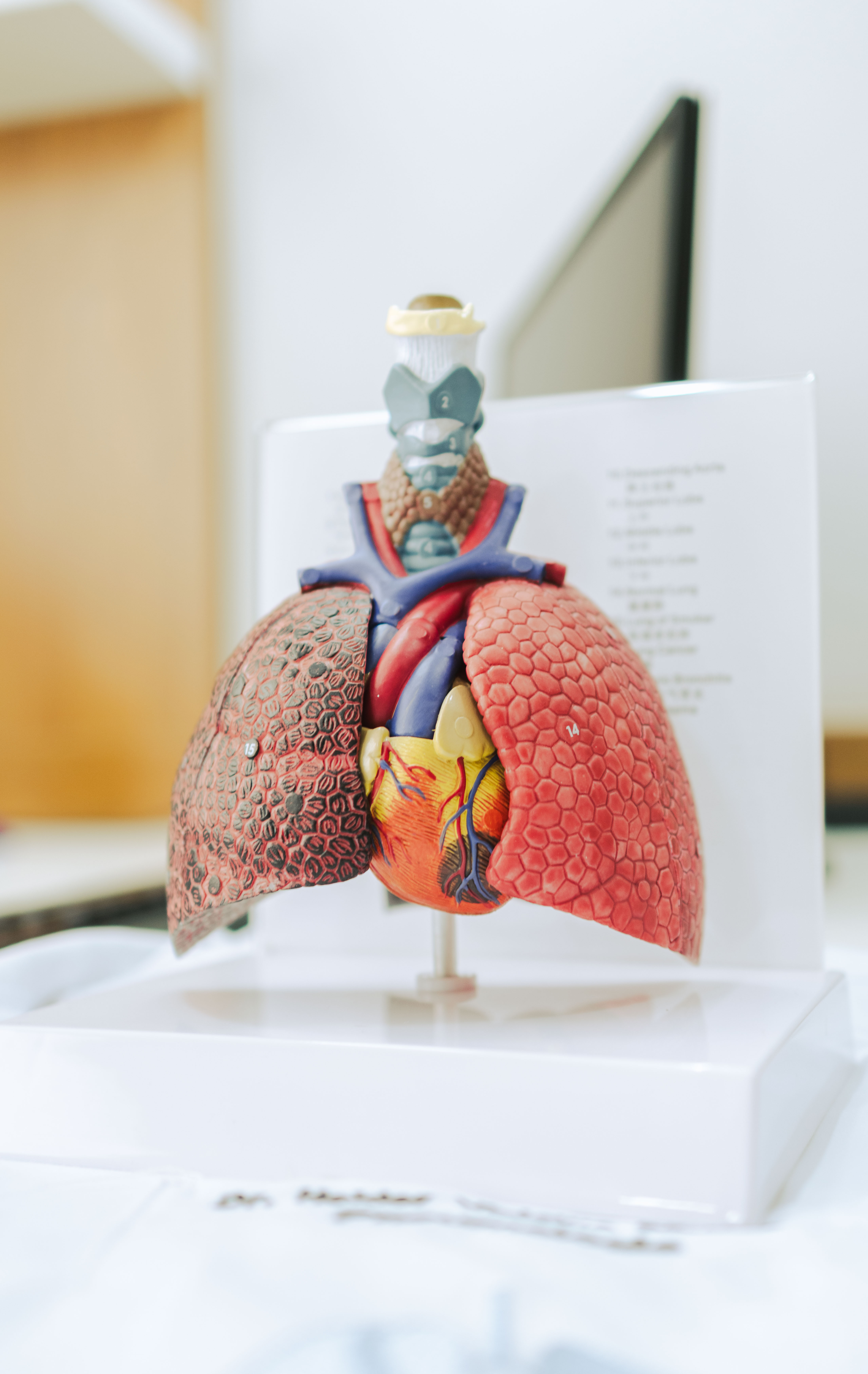 Pneumologia